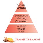 Maison Berger tuoksukimppu Orange cinnamon