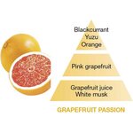 Maison Berger grapefruit-passion, puhdistusneste 500 ml