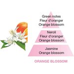 Maison Berger orange blossom - appelsiininkukannuppu puhdistusneste 500 ml